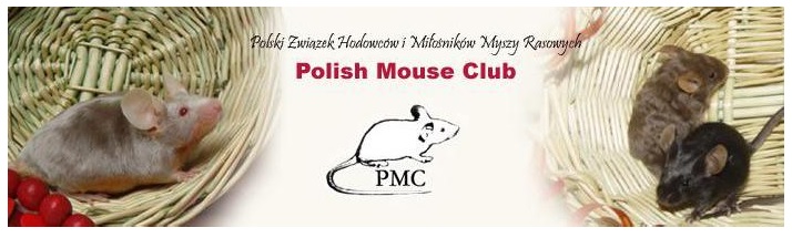myszki z logo