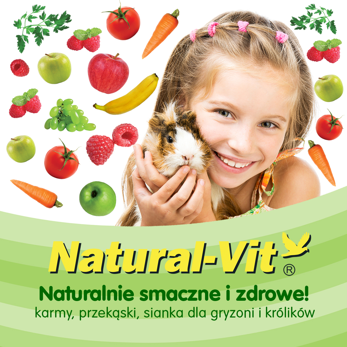 Baner wystawcy - Natural-Vit