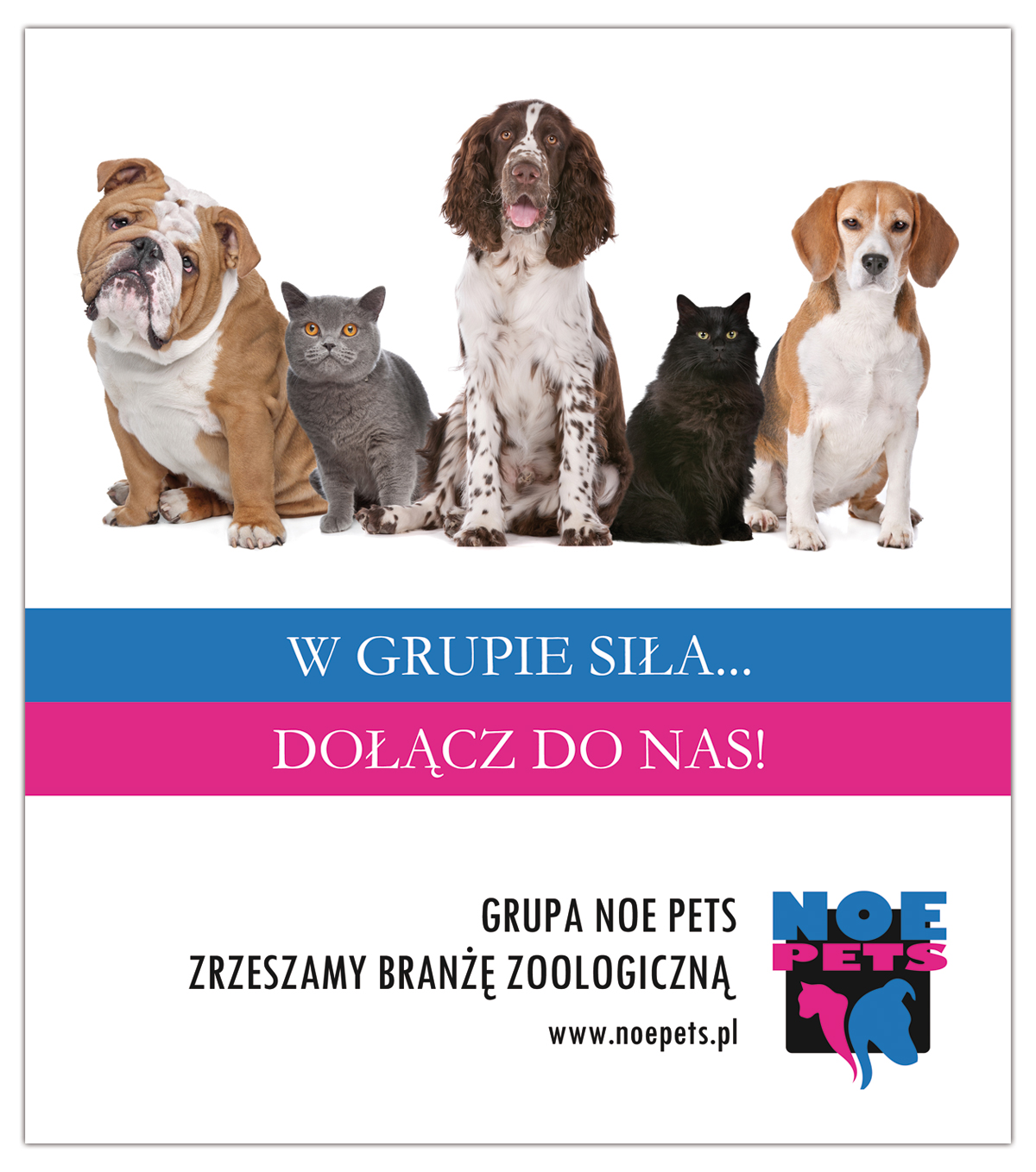 noe-pets-ofertaWystawcow-1200px