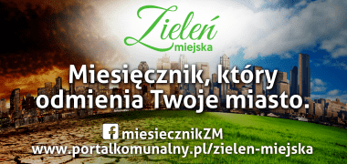 Zieleń Miejska