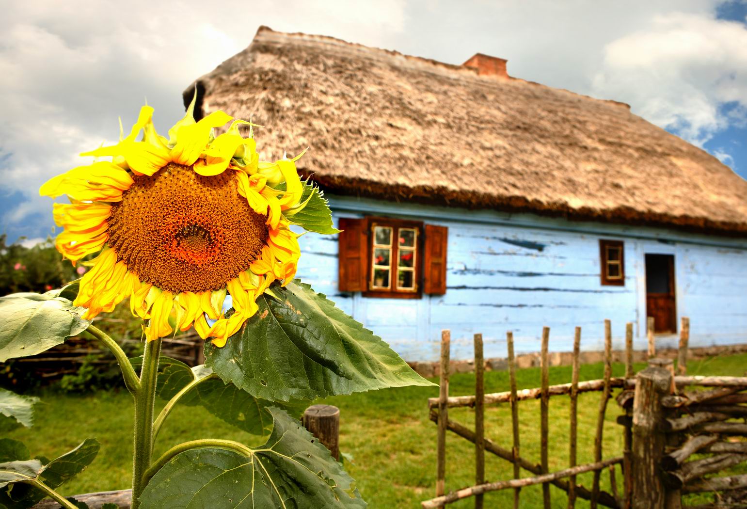 Resize of skansen Sierpc