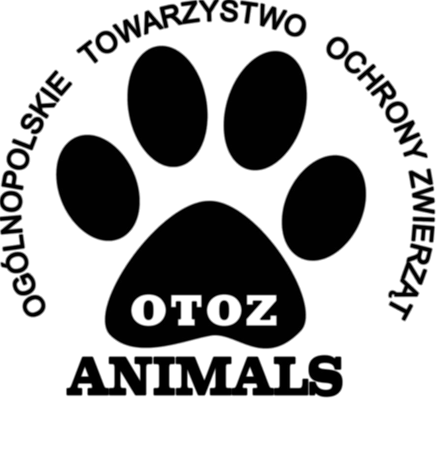 logo OTOZ