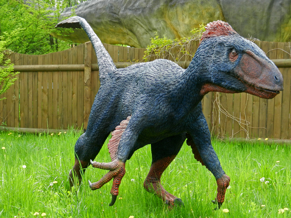 utahraptor