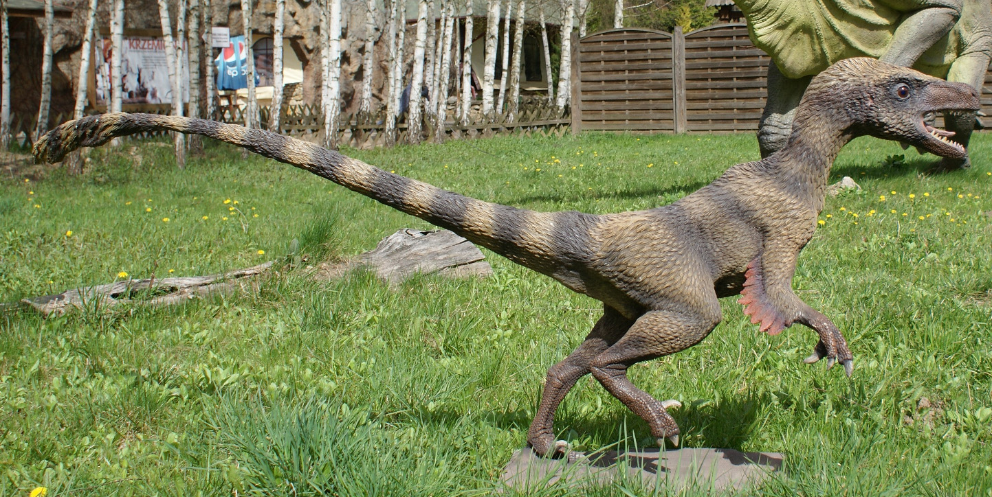 velociraptor 1